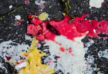łukasz litewka y el caso que sacude Polonia łukasz litewka y el caso que sacude Polonia image
