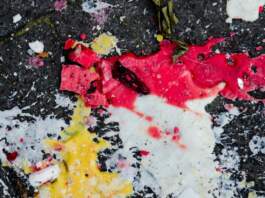 łukasz litewka y el caso que sacude Polonia łukasz litewka y el caso que sacude Polonia image
