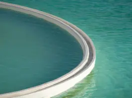 Ágatha Ruiz de la Prada y la piscina que agita su casa image