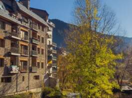 Breogán – Andorra aprieta al Pazo y busca reacción Breogán - Andorra aprieta al Pazo y busca reacción image