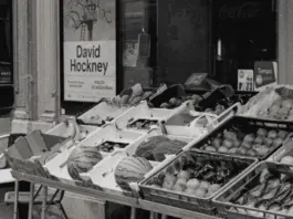David Hockney y su legado que sigue inspirando David Hockney y su legado que sigue inspirando image