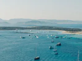Balearia propone un cupo único para Formentera Balearia propone un cupo único para Formentera image