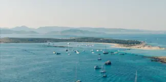 Balearia propone un cupo único para Formentera image