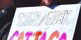 donald trump groenlandia y el choque que se avecina image
