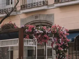 Ione Belarra da el paso que cambia Madrid image
