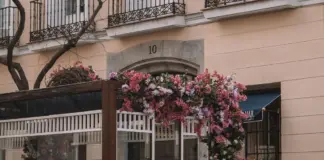 Ione Belarra da el paso que cambia Madrid image
