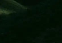 Matheus Cunha y la jugada que encendió el debate Matheus Cunha y la jugada que encendió el debate image