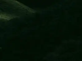 Matheus Cunha y la jugada que encendió el debate Matheus Cunha y la jugada que encendió el debate image