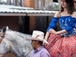 Mi querida señorita película y su regreso actual Mi querida señorita película y su regreso actual image