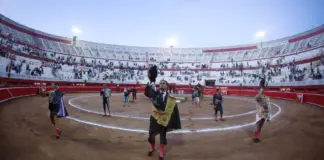 Morante hoy y dónde ver su próxima cita taurina image