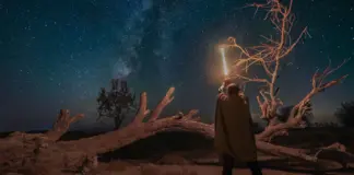 Pedro Pascal y el futuro de Star Wars en taquilla image