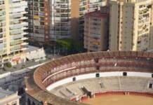 Sporting Gijón – Málaga, en directo y con mucho en juego Sporting Gijón - Málaga, en directo y con mucho en juego image