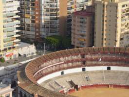 Sporting Gijón - Málaga, en directo y con mucho en juego image