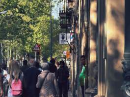 Antonio Castillo Algarra gana foco por su caída image