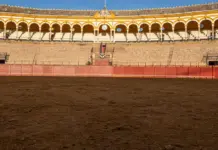 Aplausos en Sevilla y la emoción que arrasa hoy Aplausos en Sevilla y la emoción que arrasa hoy image