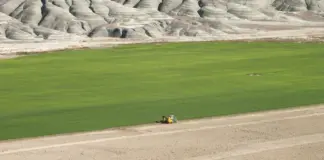 fega ayudas fertilizantes quién puede cobrarla image