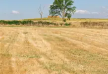 Vox Castilla y León y el giro agrícola que inquieta image