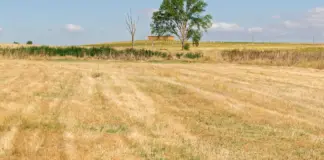 Vox Castilla y León y el giro agrícola que inquieta image