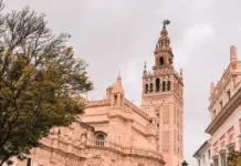 Córdoba – Sevilla guía para ver el Trofeo Puertas Córdoba - Sevilla guía para ver el Trofeo Puertas image
