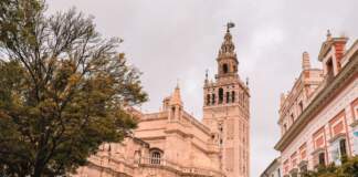 Córdoba - Sevilla guía para ver el Trofeo Puertas image