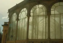 Crystal Palace ilusiona con su nuevo salto europeo image