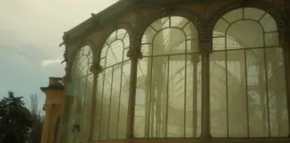 Crystal Palace ilusiona con su nuevo salto europeo image