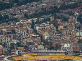mundodeportivo y el césped del Metropolitano en foco mundodeportivo y el césped del Metropolitano en foco image