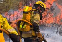 Incendio en Soneja: Medio millar de desalojados en Castellón