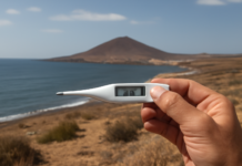 Canarias en alerta por altas temperaturas: ¡Toda la información aquí!