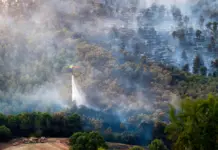 «30.000 personas liberadas tras incendio en Anoia: ¿por qué los bomberos levantaron el confinamiento?»