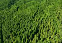 Tecnología para reducir el CO2: soluciones innovadoras