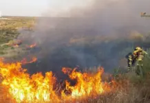 Allianz se adelanta a los incendios con tecnología satelital