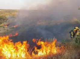 Allianz se adelanta a los incendios con tecnología satelital