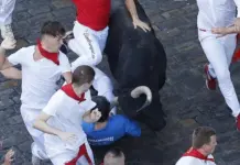 El presidente de la Federación Taurina de Guadalajara corneado en encierro de Jandilla