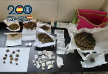 Robo de tienda de cannabis en Pontevedra: detienen al ladrón