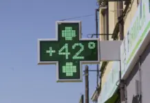 ¡Alerta! Las olas de calor son una emergencia según epidemiólogos