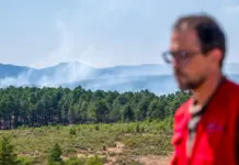 Gravedad extrema en Guadalajara: 16.000 hectáreas quemadas y leve respiro en Zaragoza