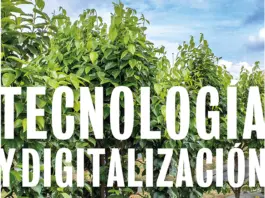 Dossier de Valencia Fruits: Claves de la digitalización en tecnología (63 caracteres)