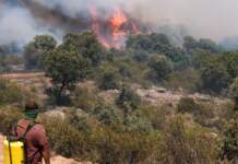 «26.000 hectáreas arrasadas en España: incendios en Guadalajara y evacuaciones en Teruel y Segovia»