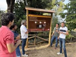 Tecnología IoT evita incendios en la Font Roja