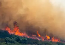 «Sigue sin control: Incendio arrasa Sierra Norte Guadalajara»