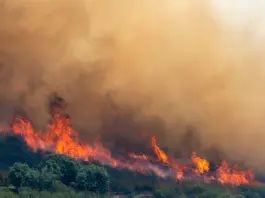 «Sigue sin control: Incendio arrasa Sierra Norte Guadalajara»