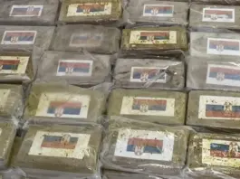 Descubren 800 kg de cocaína entre plátanos en Savona
