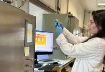 Convierten huesos de aceituna en gas natural sintético