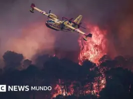 Incendios voraces obligan a miles a evacuar en España y Francia