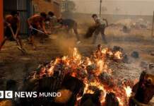 Testimonios impactantes de los afectados por los incendios en España y Francia