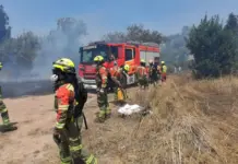 Tragedia en Valencia: hombre de 78 años muere atrapado en incendio forestal