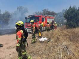 Tragedia en Valencia: hombre de 78 años muere atrapado en incendio forestal