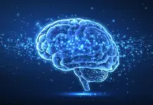Descubre el cerebro: el objeto más complejo