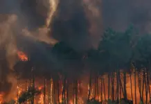 Última hora: Incendios en Madrid, Toledo y Ávila – ¡Sigue en directo!